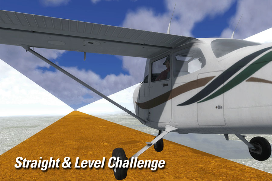 EAA Virtual Flight Academy
