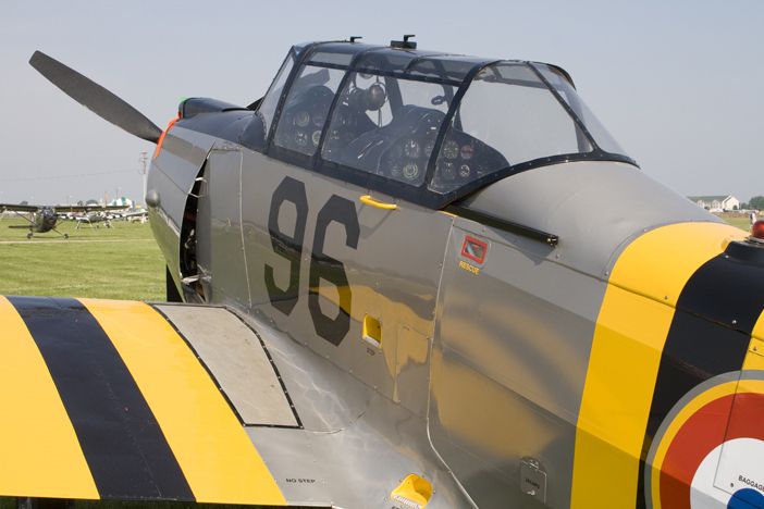 A black and yellow striped French Nord.