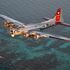 B17