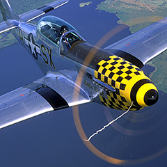 Warbird