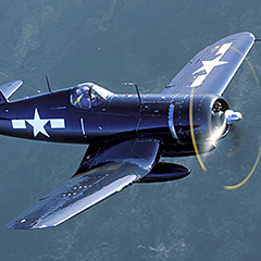 Warbird