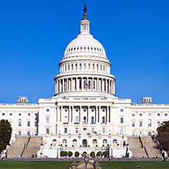 Government