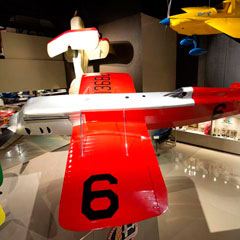Wittman D-12 Bonzo