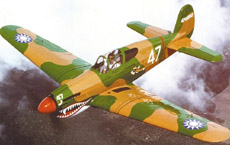 Loehle P-40