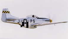 Stewart S-51D