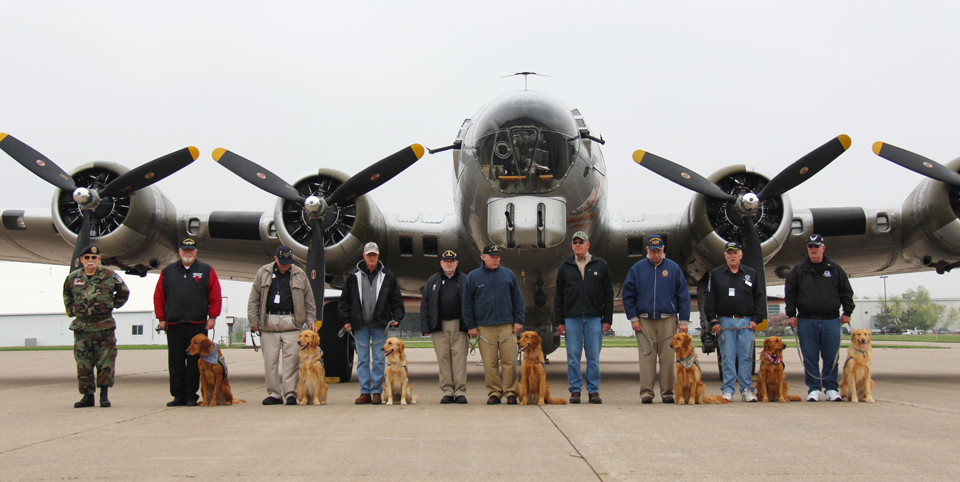 An Aluminum Overcast Visit for the Dogs
