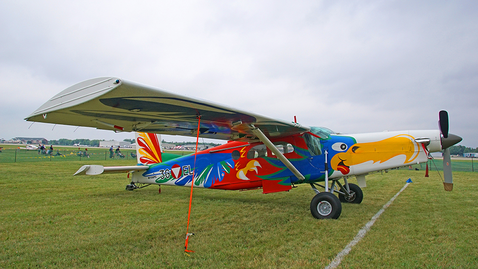 Pastel-Painted Parrot Porter Pleases Patrons Perusing Parked Planes