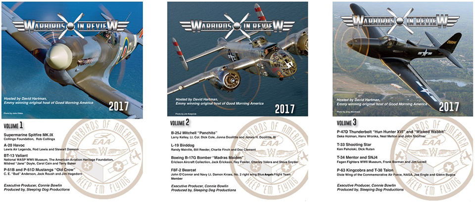 Warbirds in Review
